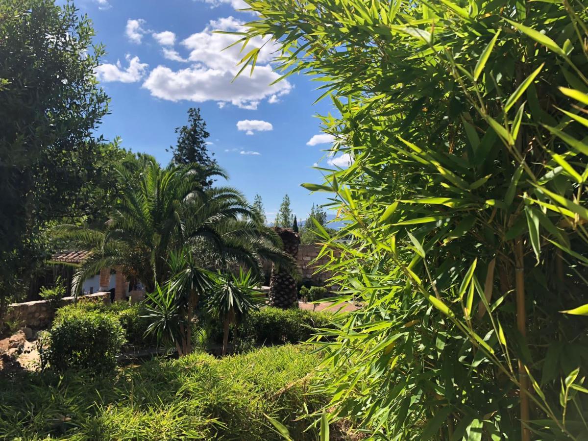 马拉加Tottam Art & Healthy Garden别墅 外观 照片